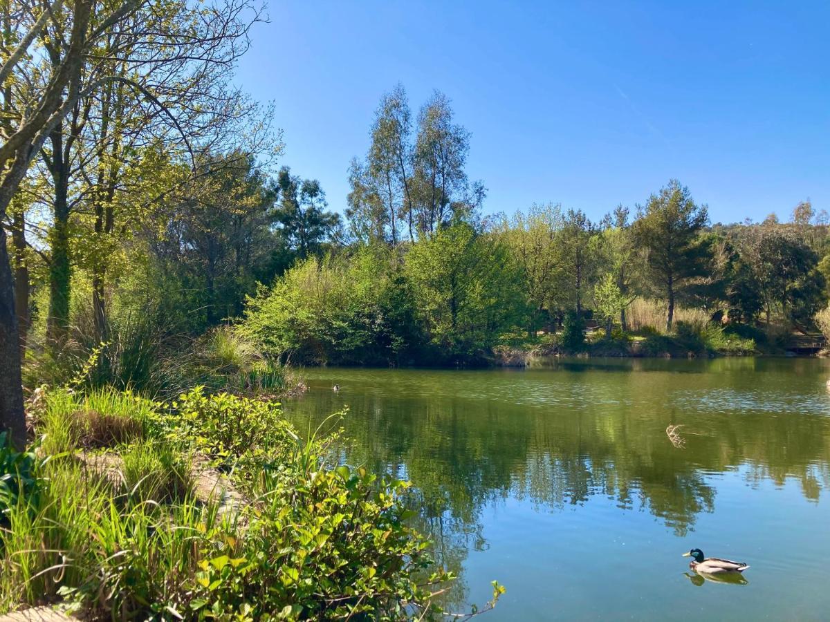Apartament Les Restanques 2268 Glycines Grimaud Zewnętrze zdjęcie